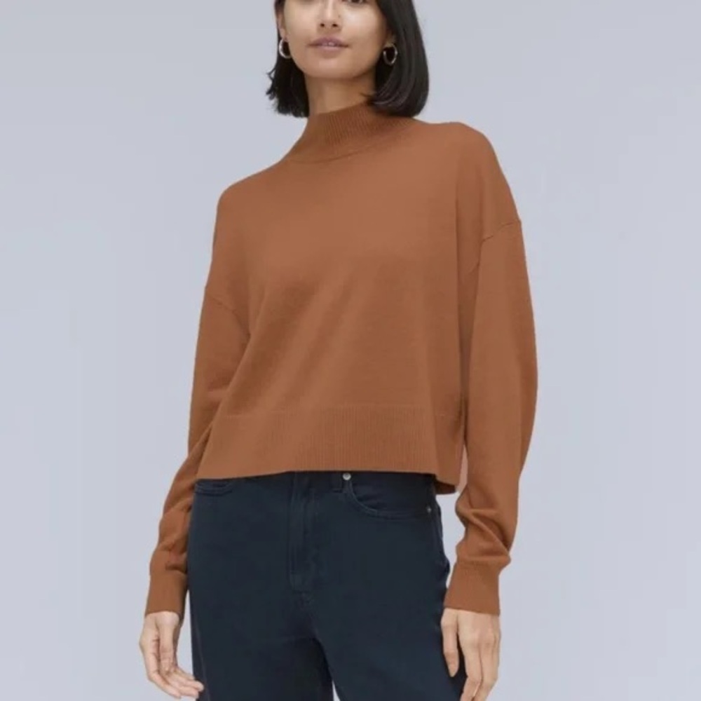 Everlane The Luxe Merino Turtleneck